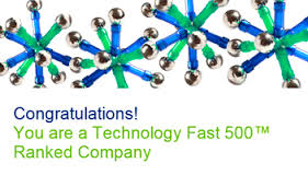 For The Second Year In Row Deloitte Technology Fast50(TM) Recognizes HIRO Media