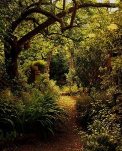 What You Can Get From A Summer Tree Survey