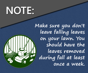 Fall_Lawn_Care_Tips