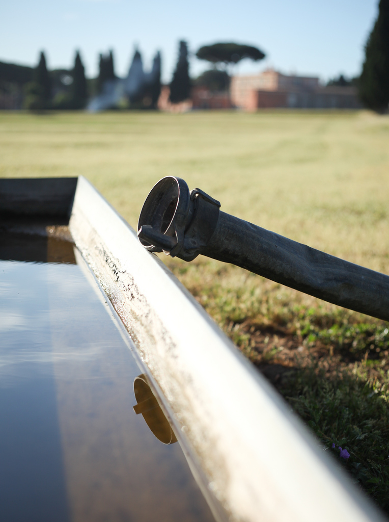 Core Principles Of Irrigation