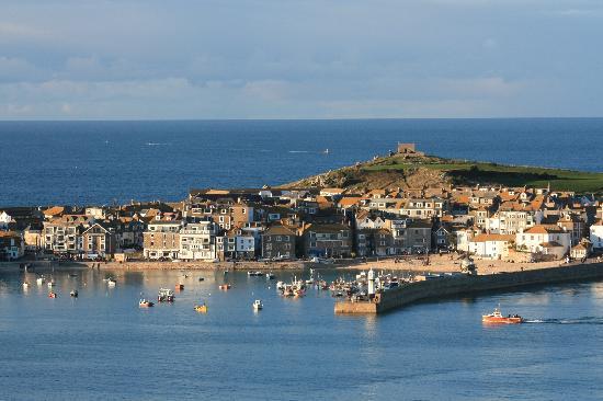 did-you-know-there-are-palm-trees-in-england2