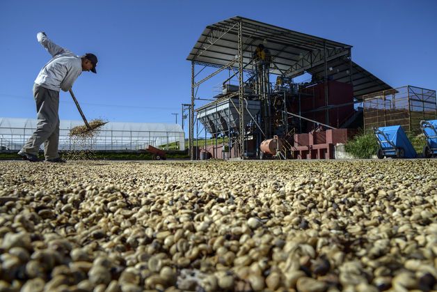 Dry Weather In Brazil Drives Up Coffee Price