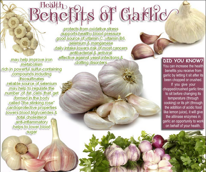 Health Benefits Of Garlic