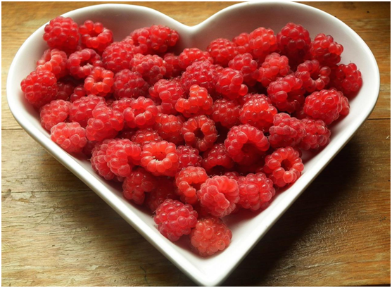 A Healthy and Happy Workforce