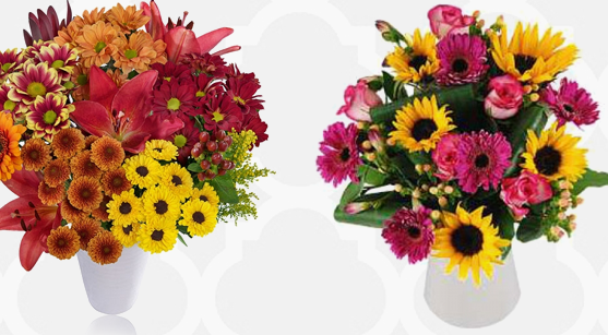 Why People Are Reluctant In Saying Sorry?