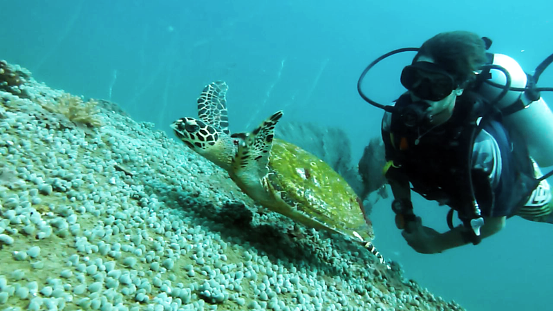 Get In Touch With A Perfect Place To Start Your Career As A Diver