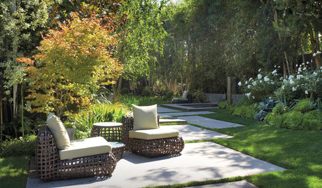 Creating A Holiday Experience On Your Patio