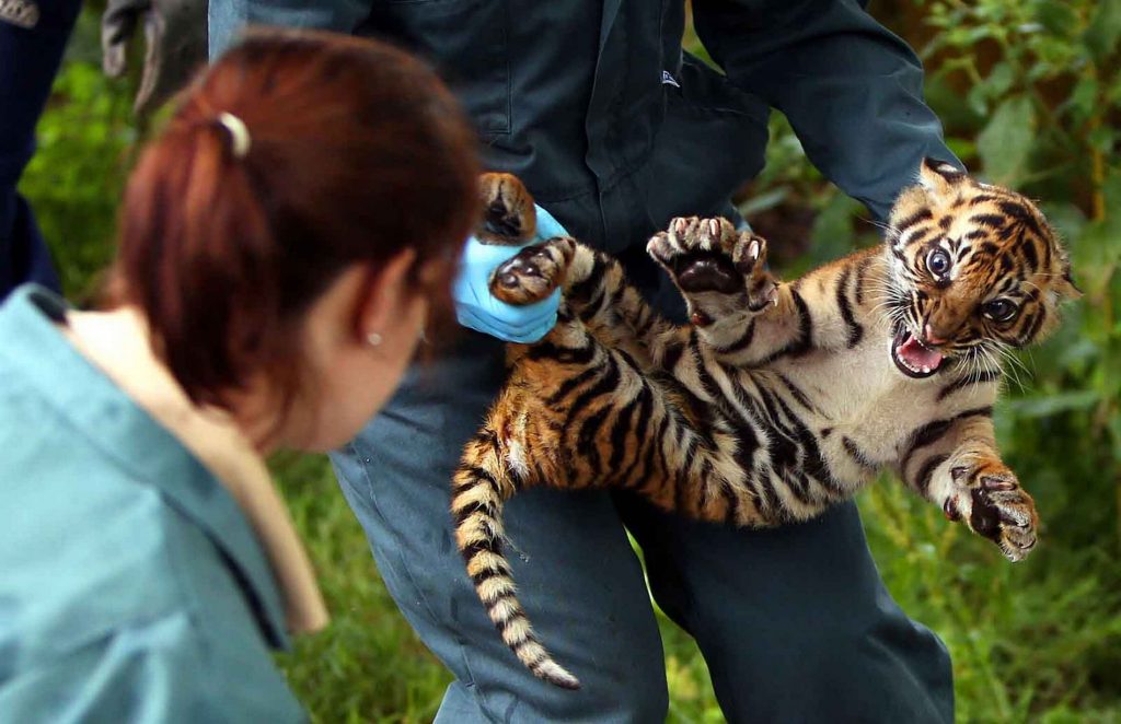 Business and Pleasure While In Chester