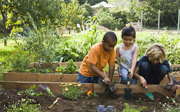 Gardening As A Form Of Education For Children