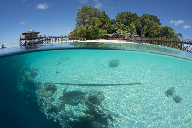 Underwater Beauty Of Indonesia And Malaysia