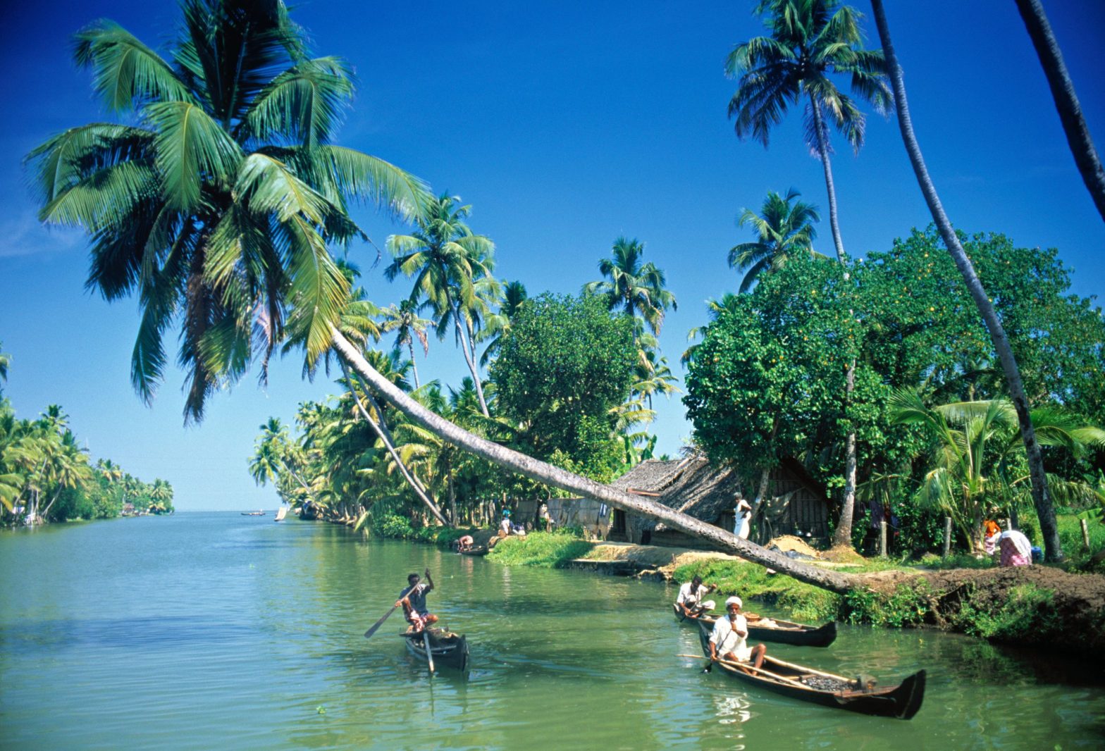 8 ‘Travelastic’ Reasons To Visit Kerala As Your Next Travel Destination