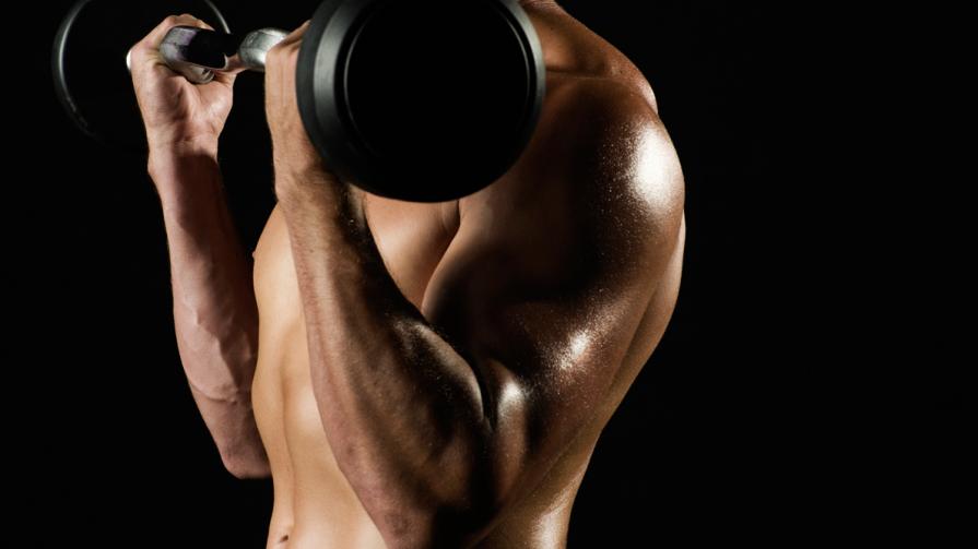 Anti Ageing & Muscle Building –A Short Overview