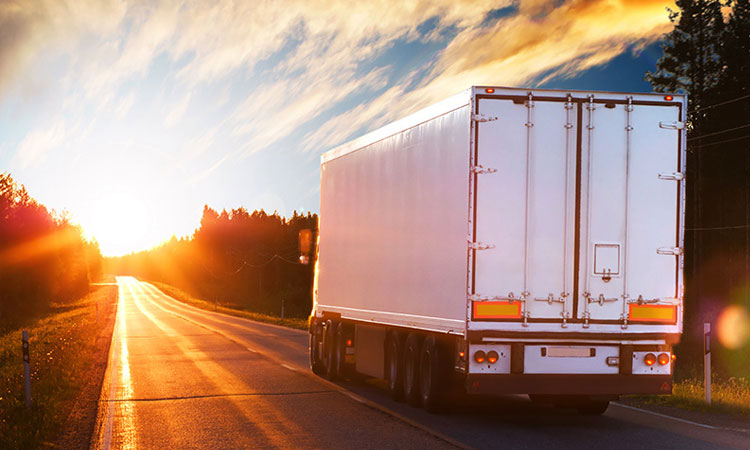 Elect The Best Company To Avail Trucking Logistics or Freight Services