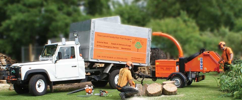 tree surgeons in Romford