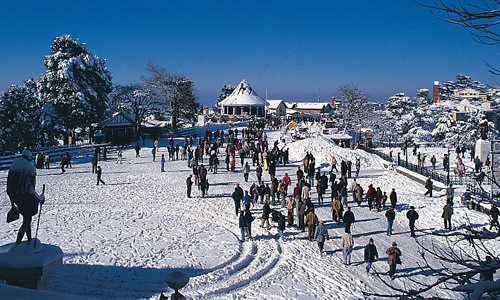 Plan On A Trip To The Mountains With The Best Shimla Manali Travel Packages