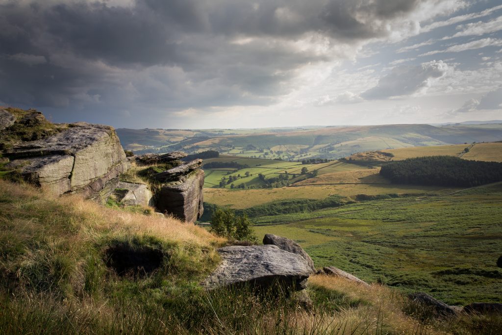 The 5 Best UK Parks To Capture Photos Of Nature