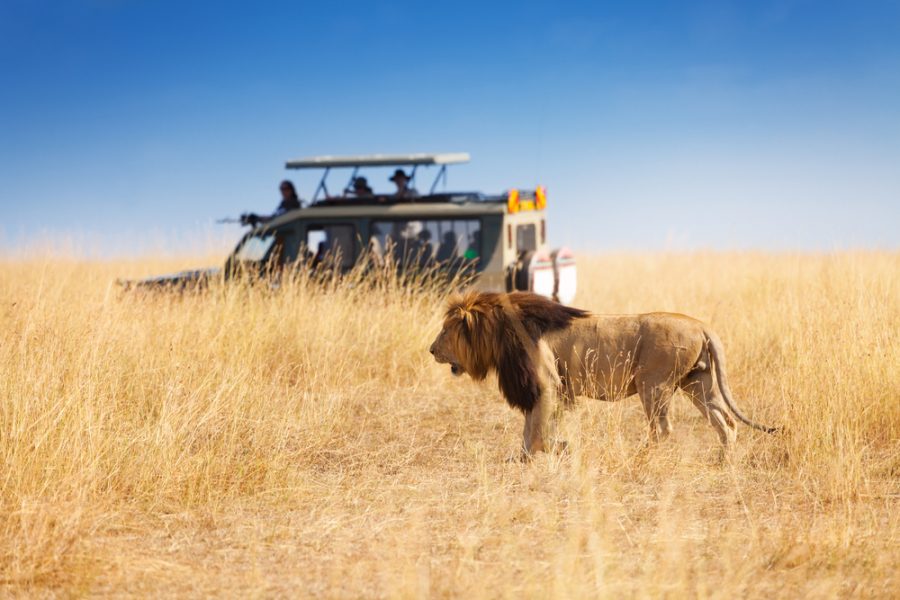 5 Qualities Of A Memorable African Safari