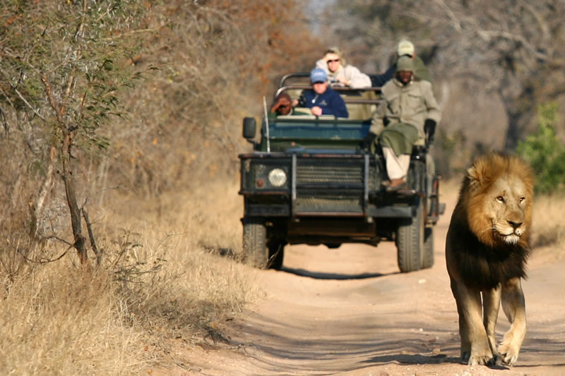 Some Famous Destination Guide For Wildlife Safari Tour In Africa