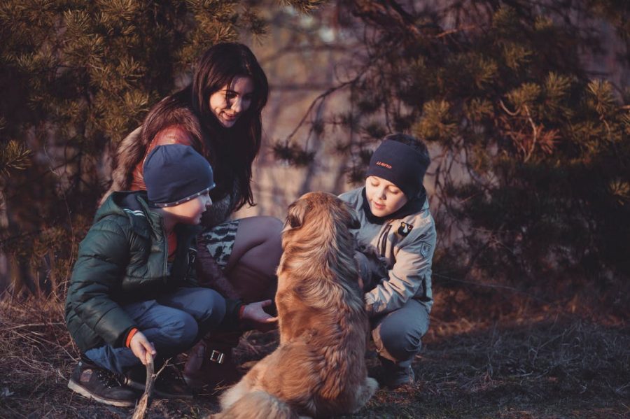 4 Health Benefits Of Having A Pet In The Family