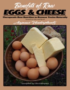 Benefits of Eggs And Cheese