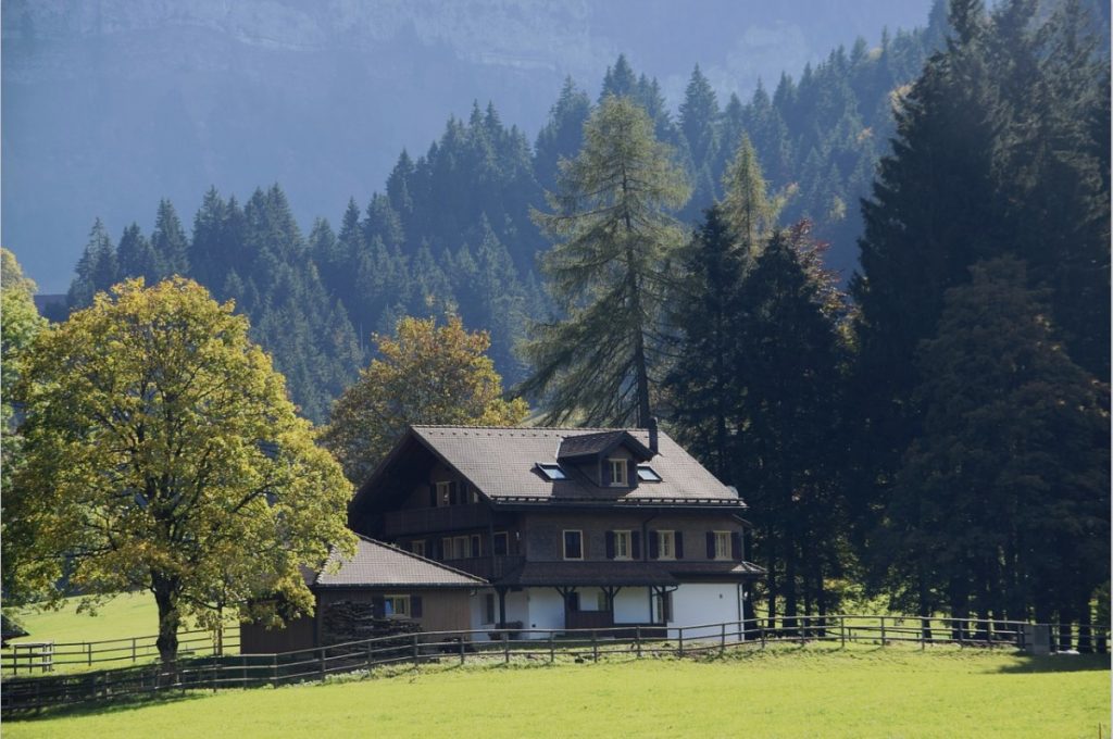 Going To A Hunting Lodge? 4 Things You'll Want To Bring Along